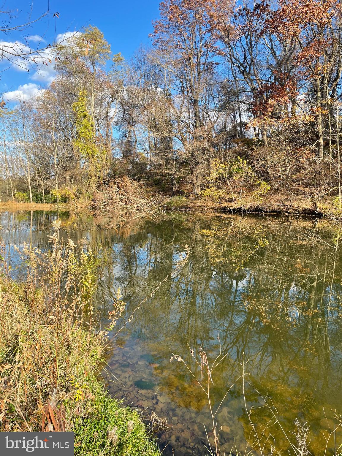 412 Old Bachmans Valley Road Westminster, MD 21157 - Photo 40 of 52 One of two stocked ponds