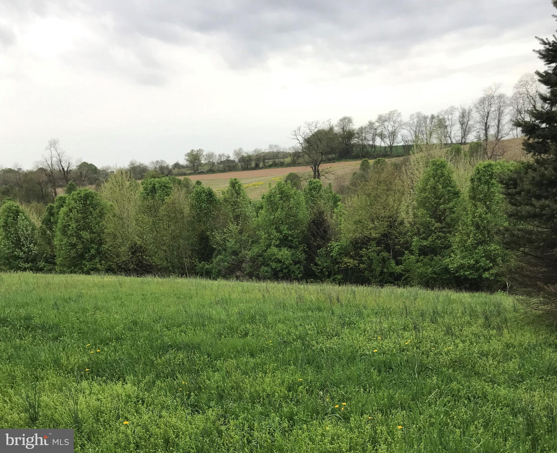 412 Old Bachmans Valley Road Westminster, MD 21157 - Photo 42 of 52 View from historic home