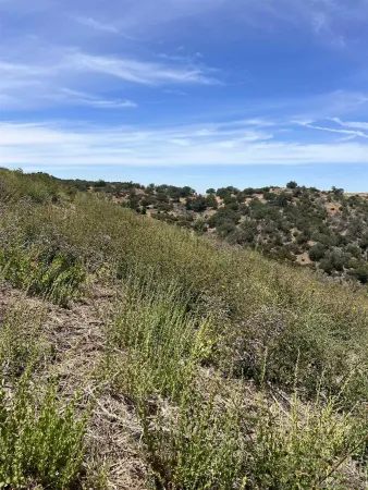 a view of a city