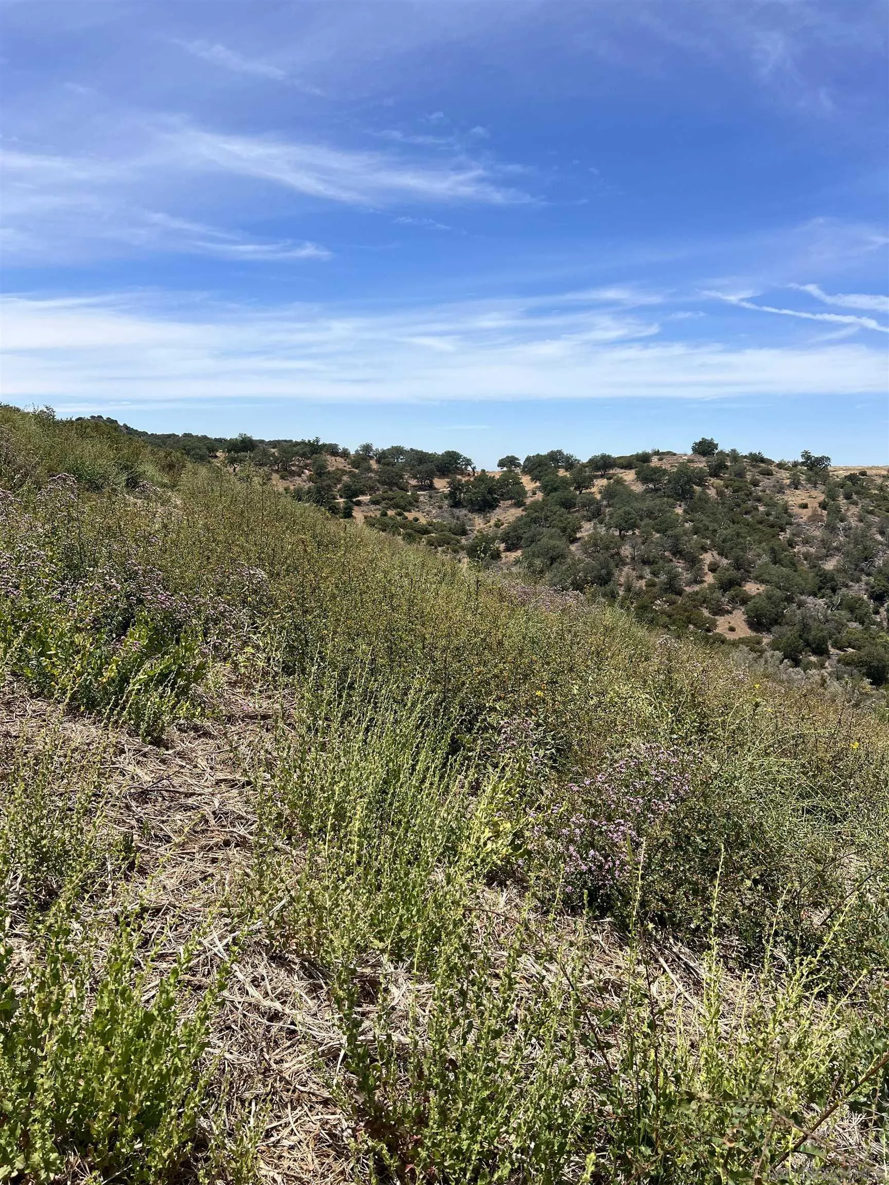 3885 Eagle Ridge, Unit 3885 Julian, CA 92036 - Photo 11 of 17 a view of a city