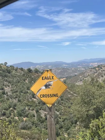 a view of a road with an ocean