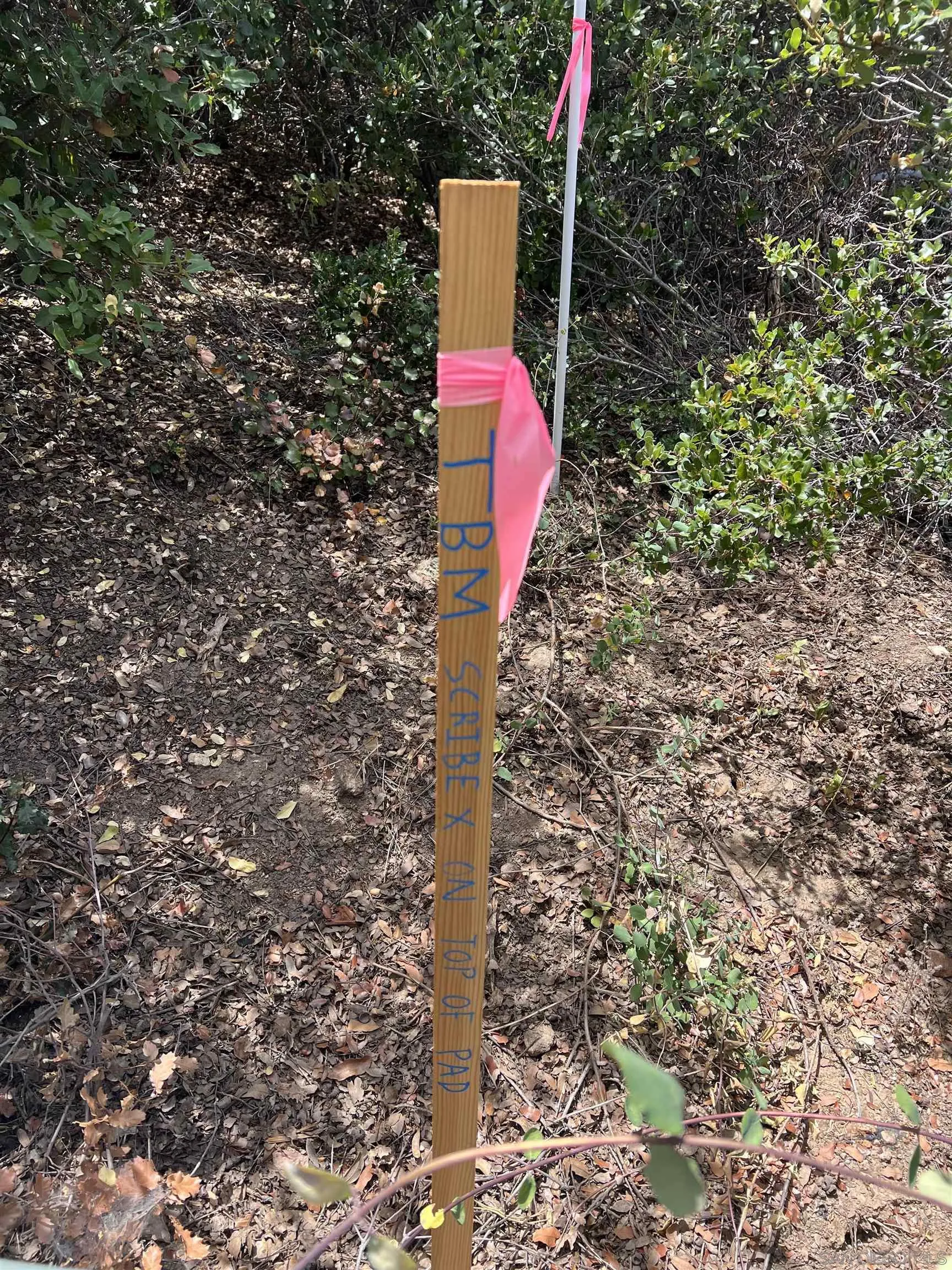 3885 Eagle Ridge, Unit 3885 Julian, CA 92036 - Photo 6 of 17 a flag is sitting in the middle of a forest