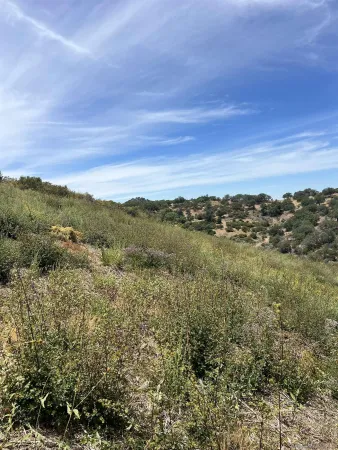 a view of lake with mountain