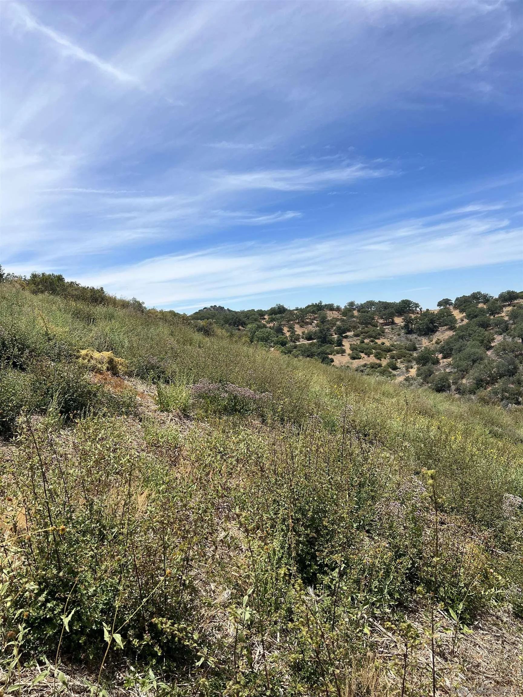 3885 Eagle Ridge, Unit 3885 Julian, CA 92036 - Photo 10 of 17 a view of lake with mountain