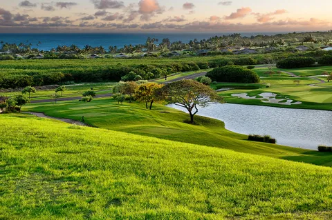 a view of a golf course with a park