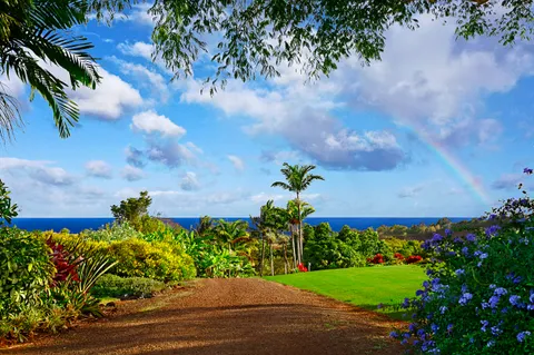 a view of a garden with a lot of flower plants and wooden fence