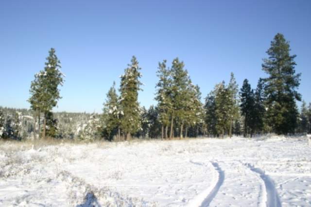 6809 West Trails Road Spokane, WA 99224 - Photo 1 of 9