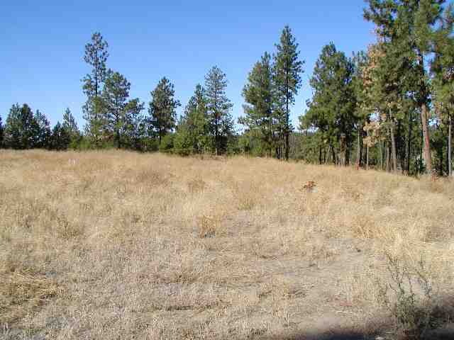 6809 West Trails Road Spokane, WA 99224 - Photo 3 of 9