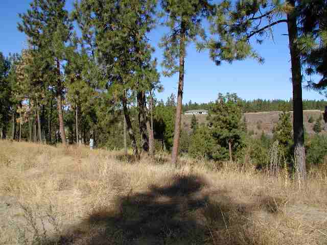 6809 West Trails Road Spokane, WA 99224 - Photo 4 of 9