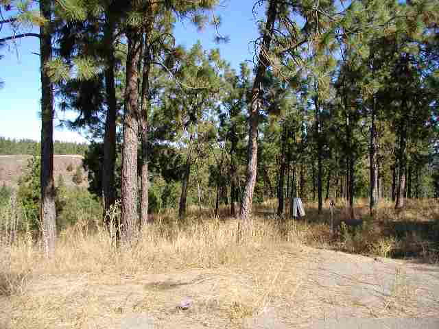 6809 West Trails Road Spokane, WA 99224 - Photo 5 of 9