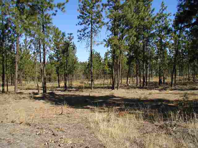 6809 West Trails Road Spokane, WA 99224 - Photo 6 of 9