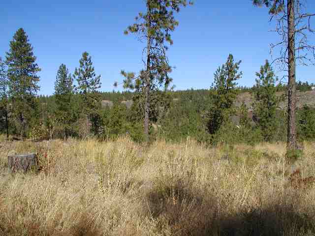 6809 West Trails Road Spokane, WA 99224 - Photo 7 of 9