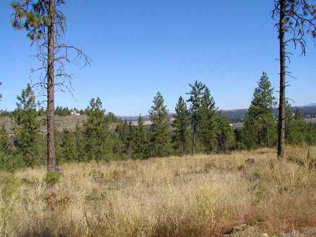 6809 West Trails Road Spokane, WA 99224 - Photo 8 of 9