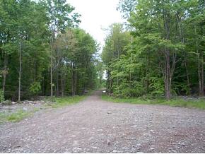 T-678 Snyder Road New Milford, PA 18834 - Photo 1 of 2 Gallery Image 1