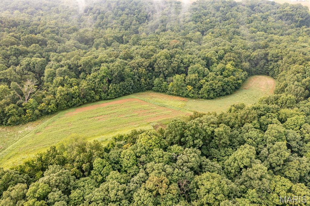 0 Cuivre Ford Road Troy, MO 63379 - Photo 29 of 35
