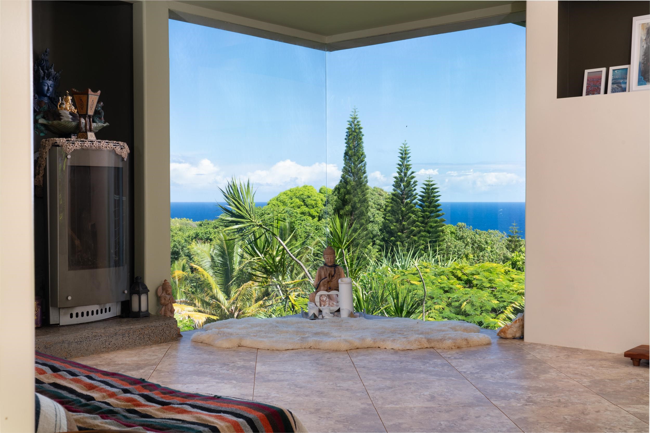 715 North Honokala Road Haiku, HI 96708 - Photo 17 of 50 a backyard of a house with potted plants