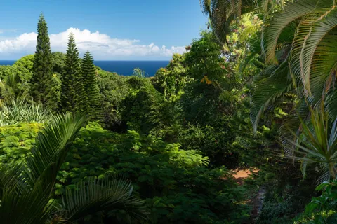a room with furniture and window