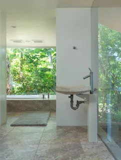 a view of backyard with plants and trees