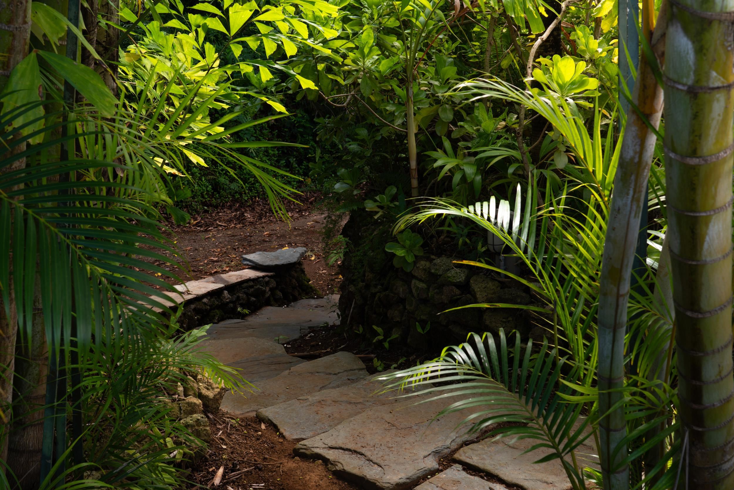 715 North Honokala Road Haiku, HI 96708 - Photo 31 of 50 a view of backyard with plants and trees