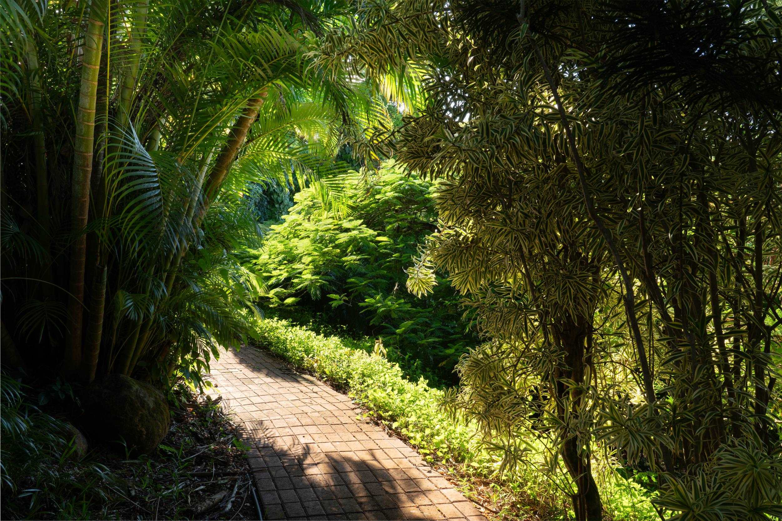 715 North Honokala Road Haiku, HI 96708 - Photo 6 of 50 a view of a garden
