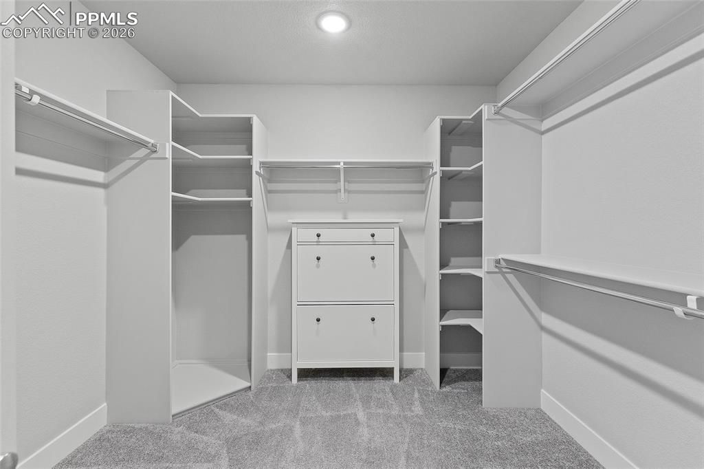 15777 Little Bluestem Road Monument, CO 80132 - Photo 36 of 50