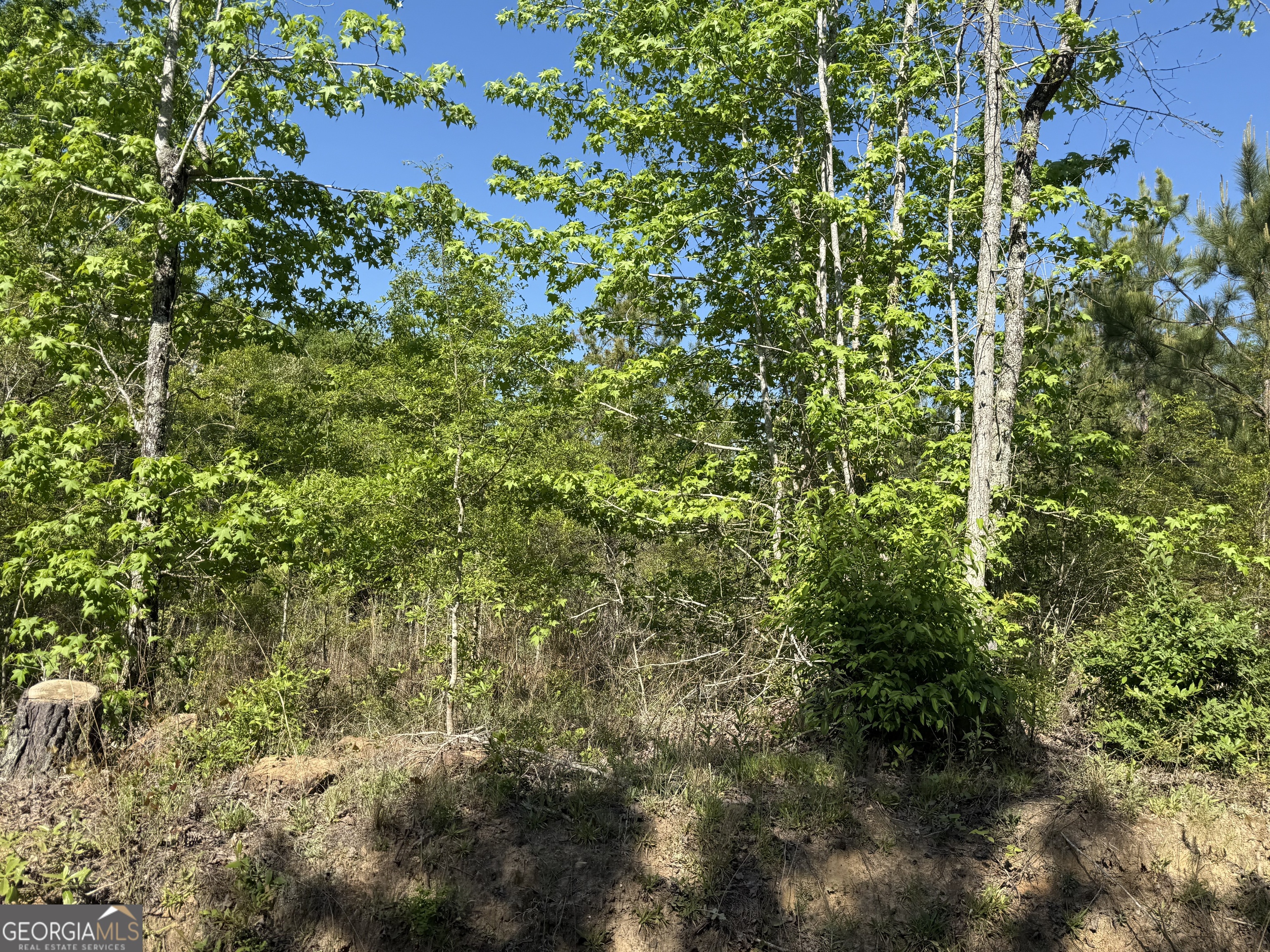 8087 Sandhill Road Mitchell, GA 30820 - Photo 3 of 9