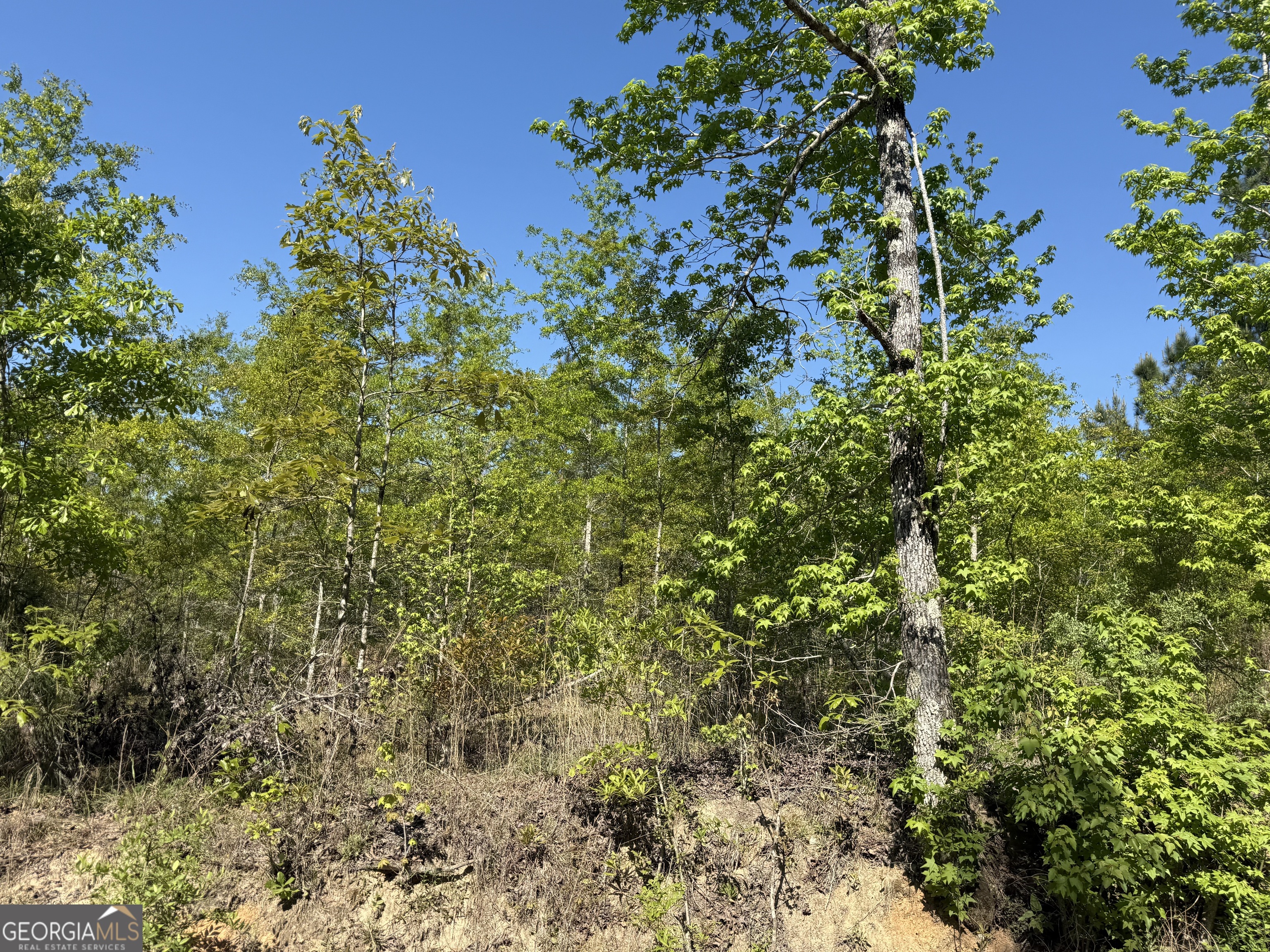 8087 Sandhill Road Mitchell, GA 30820 - Photo 4 of 9