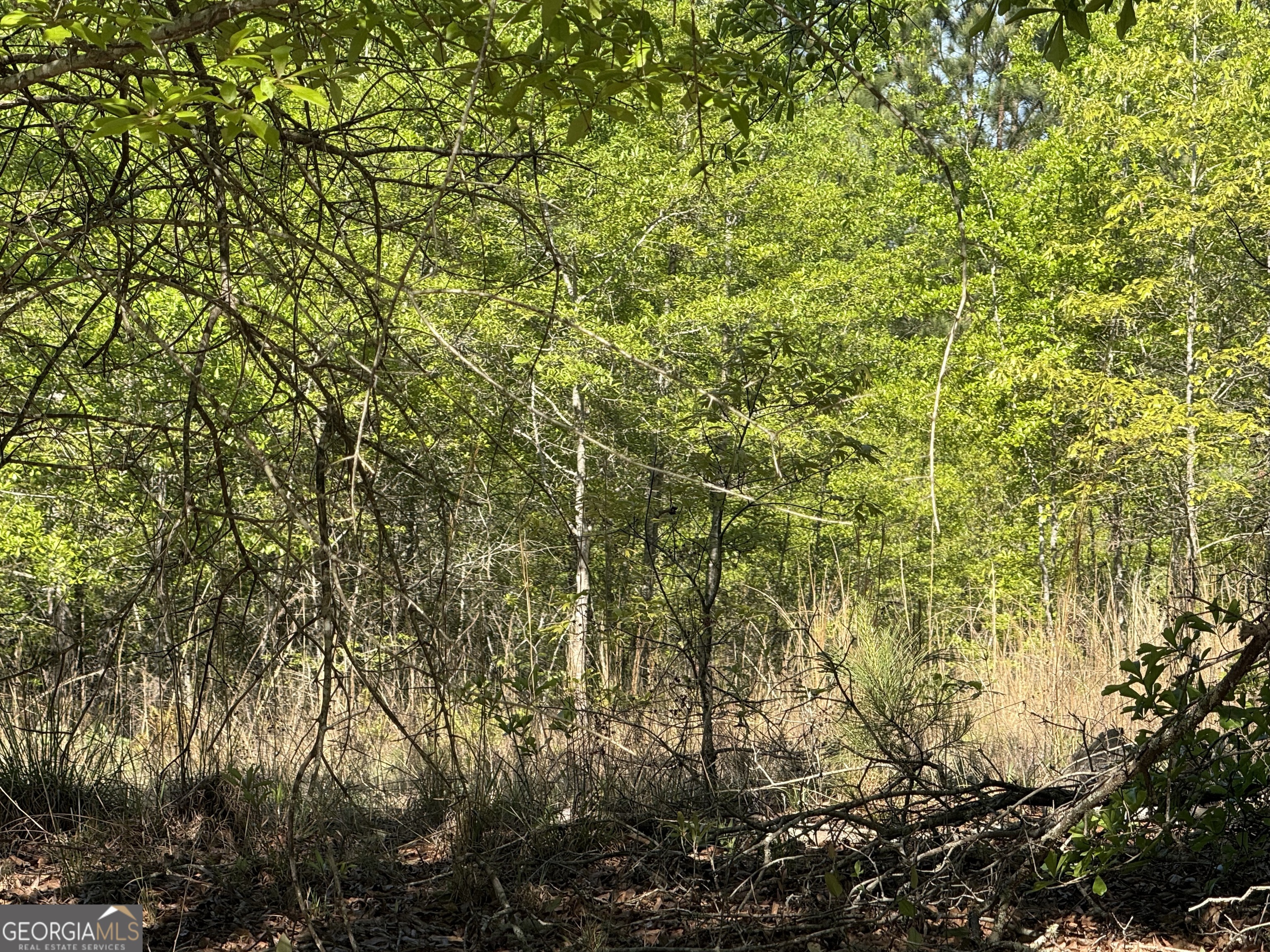 8087 Sandhill Road Mitchell, GA 30820 - Photo 5 of 9