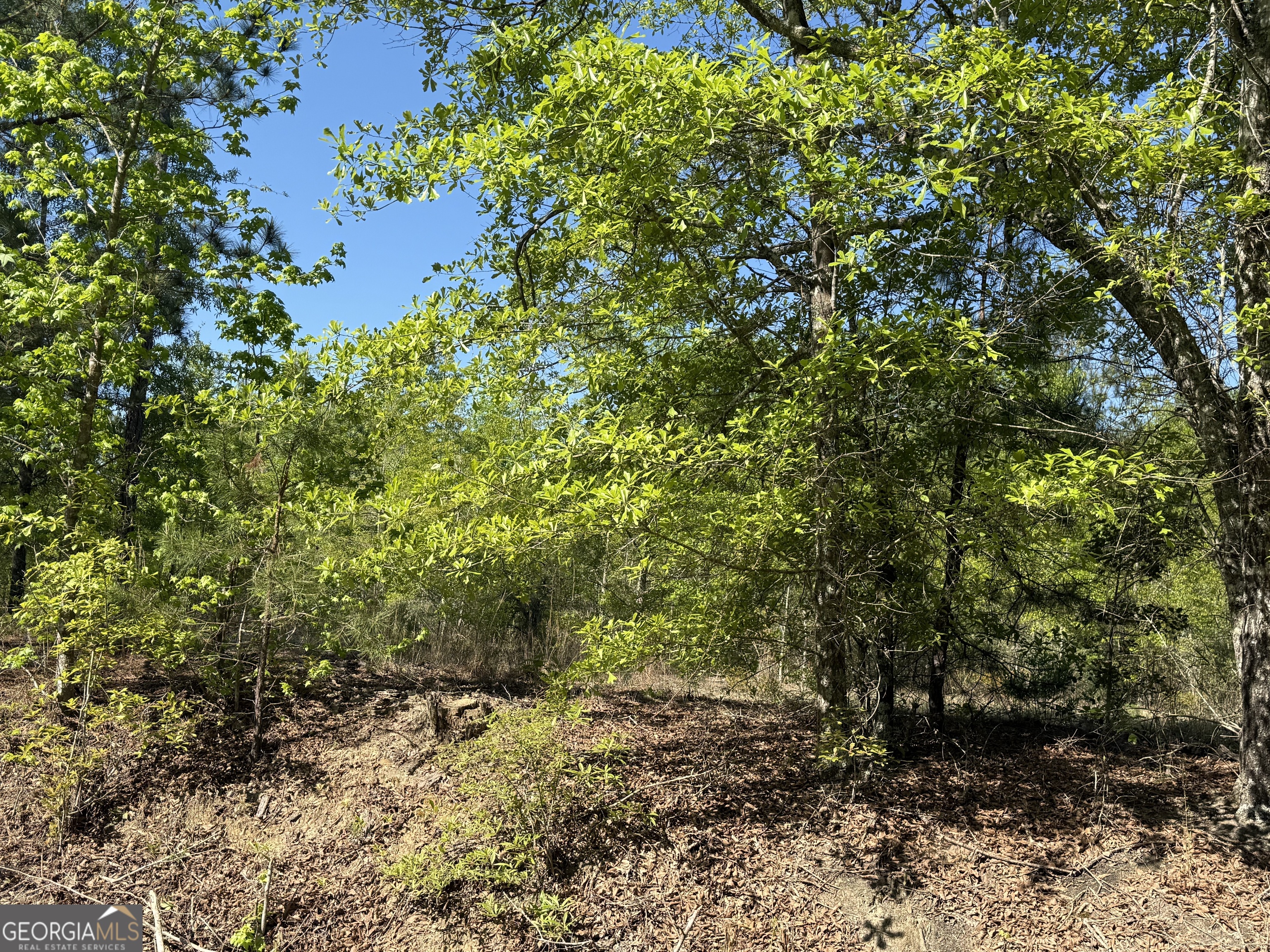 8087 Sandhill Road Mitchell, GA 30820 - Photo 6 of 9