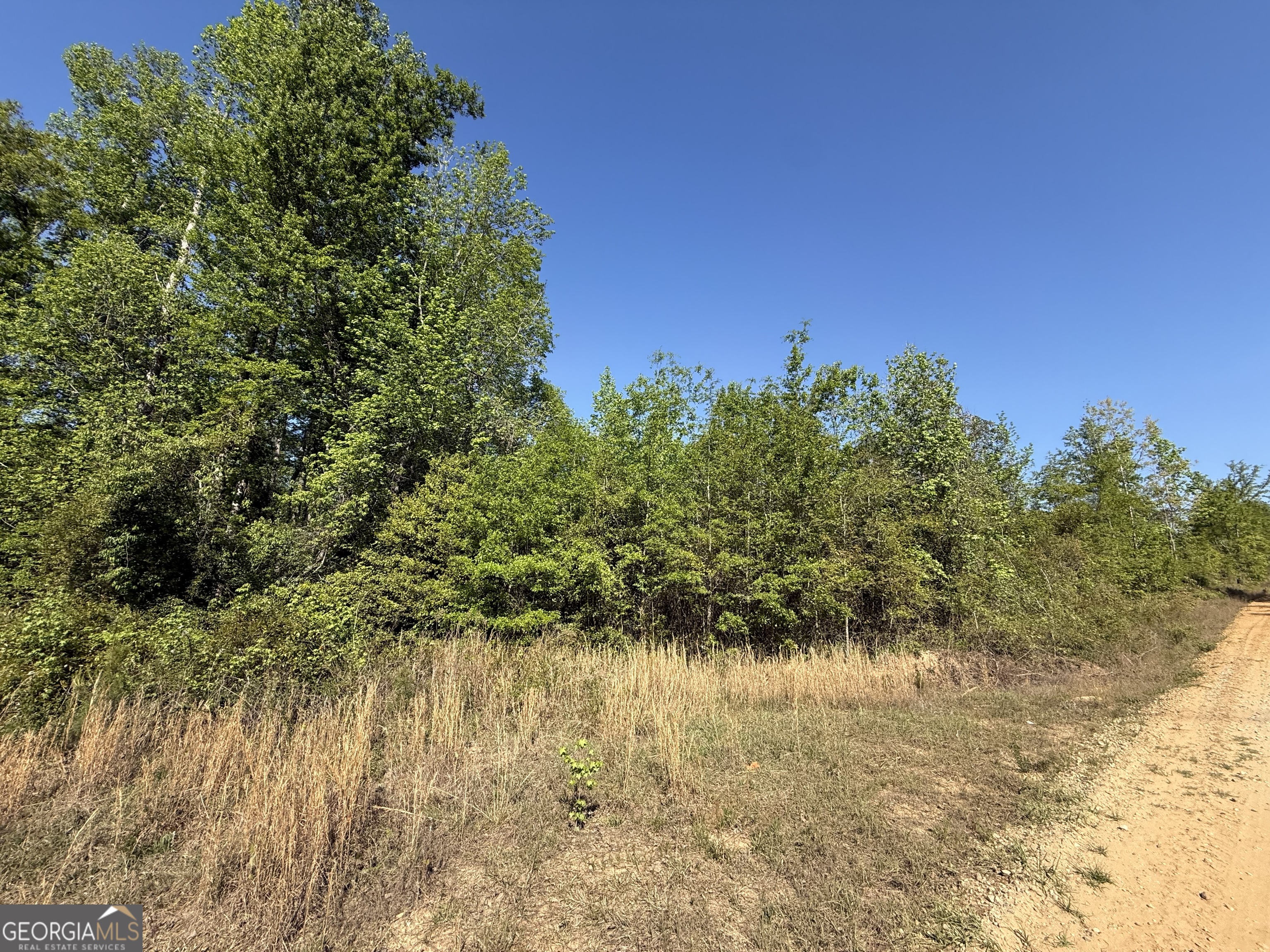8087 Sandhill Road Mitchell, GA 30820 - Photo 7 of 9