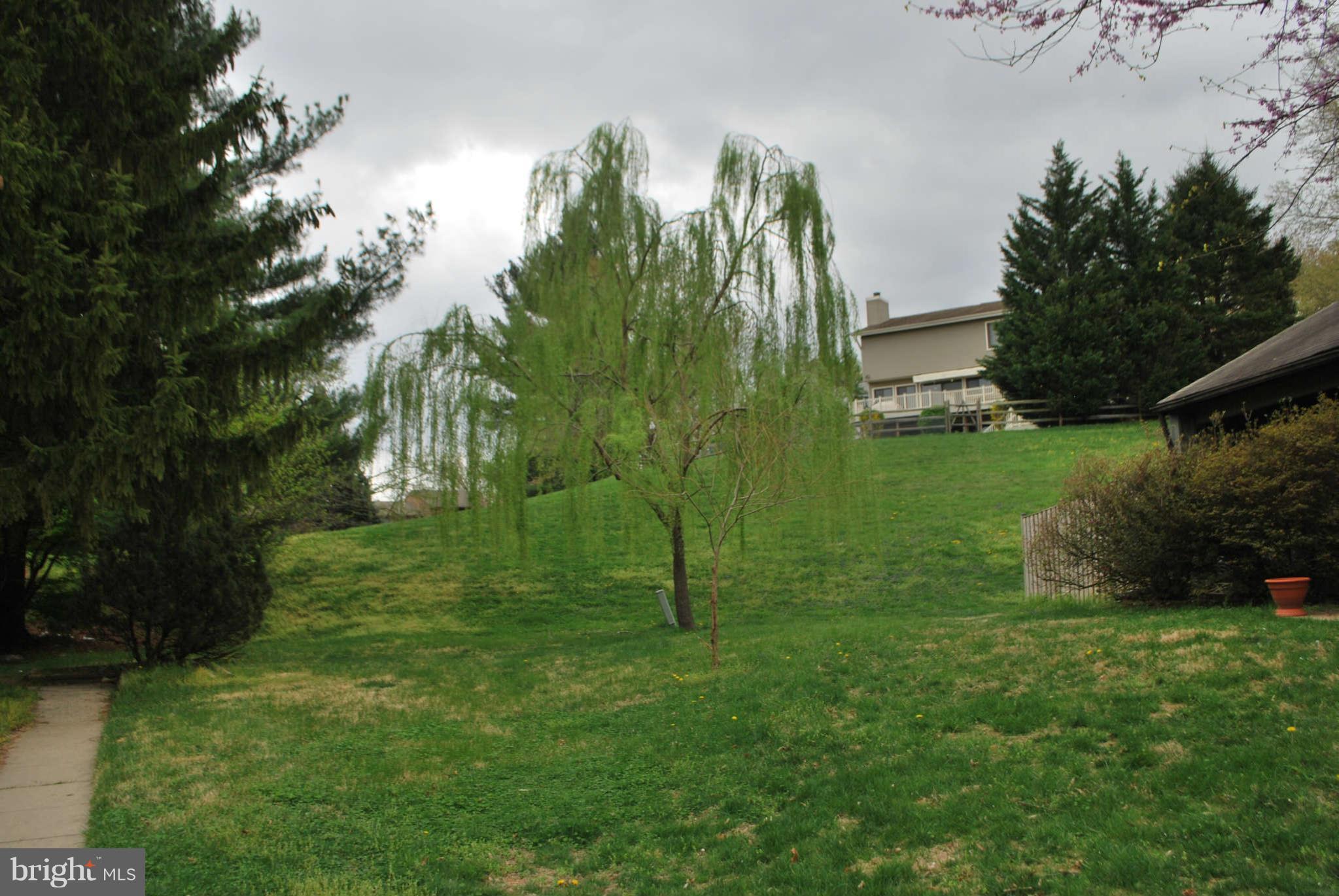 9116 Centerway Road Gaithersburg, MD 20879 - Photo 24 of 25 a view of a garden with a tree