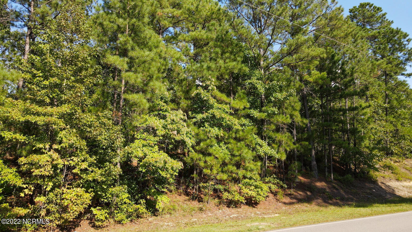 Tbd McGill Road Cameron, NC 28326 - Photo 22 of 24 McGill rd (27)