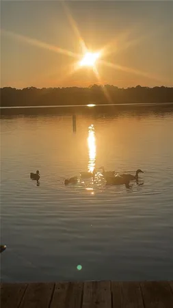 a view of lake from a city