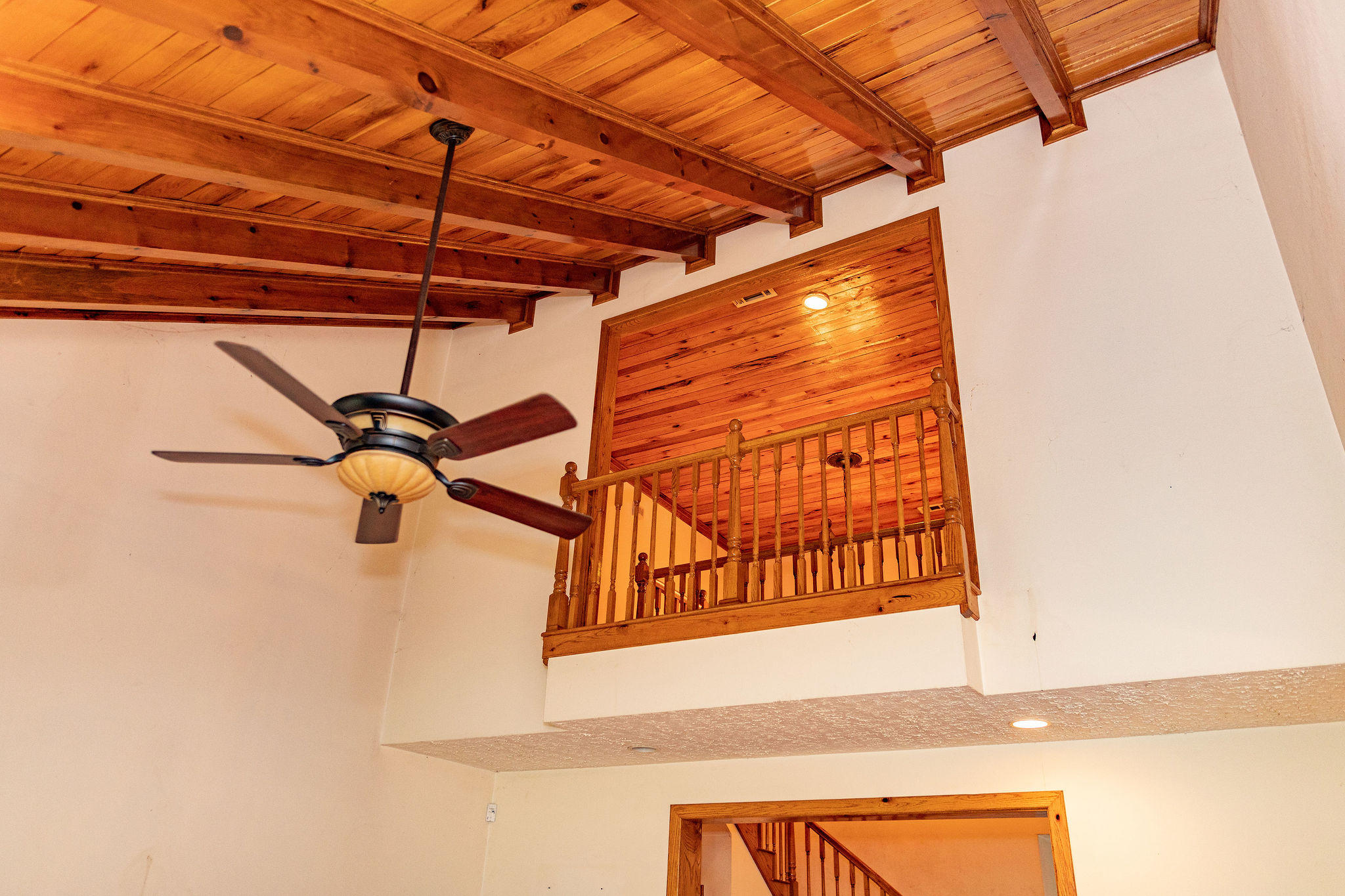 150 Roderick Lane Strawberry Plains, TN 37871 - Photo 12 of 40 AA3A7989