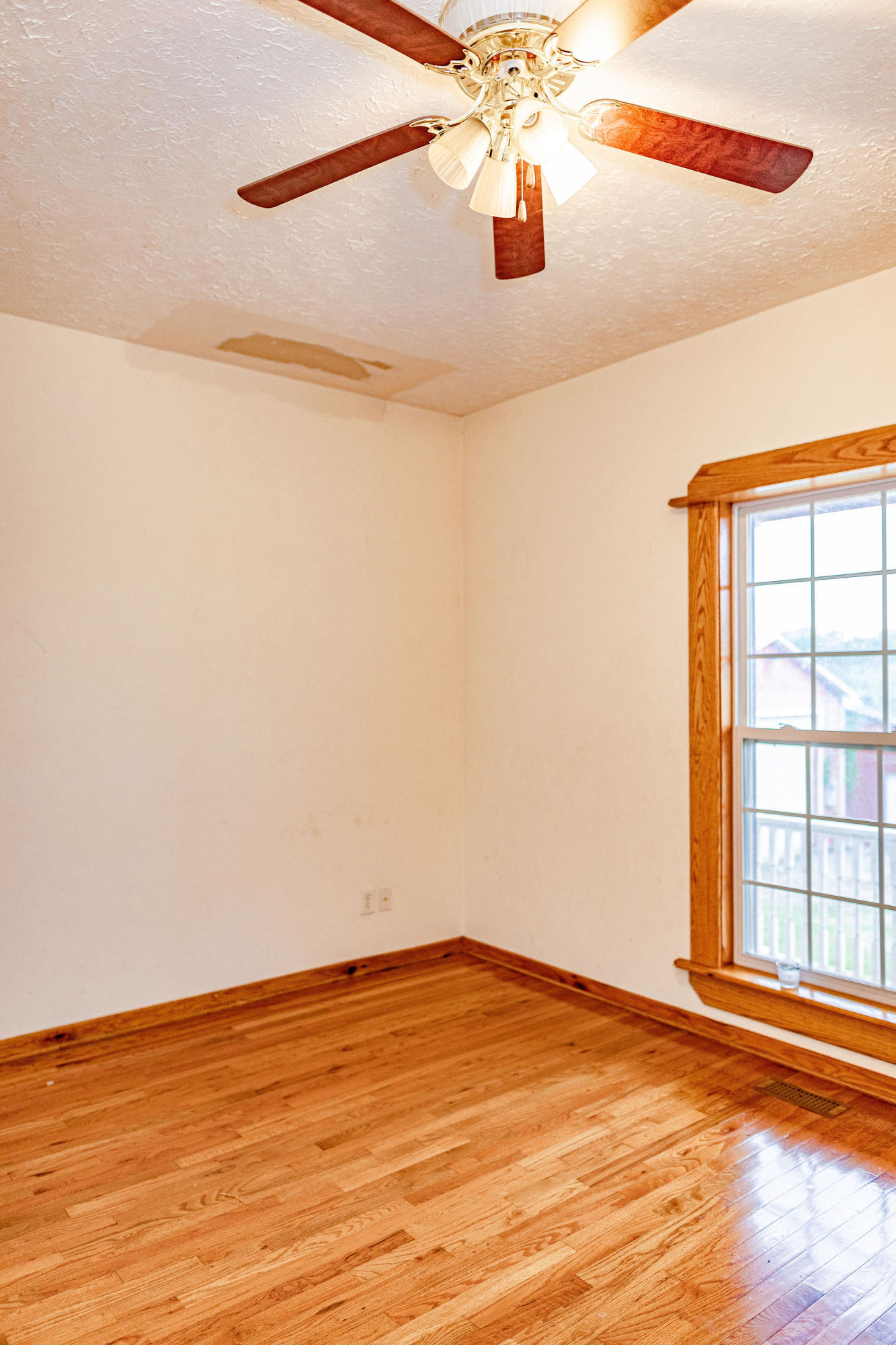 150 Roderick Lane Strawberry Plains, TN 37871 - Photo 15 of 40 AA3A7996