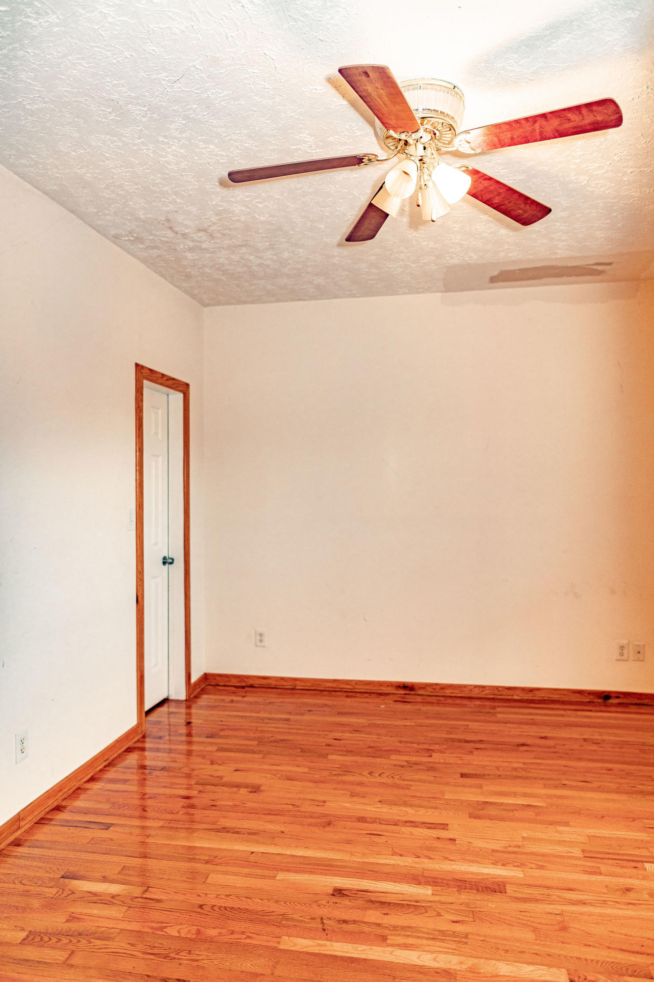 150 Roderick Lane Strawberry Plains, TN 37871 - Photo 17 of 40 AA3A7999
