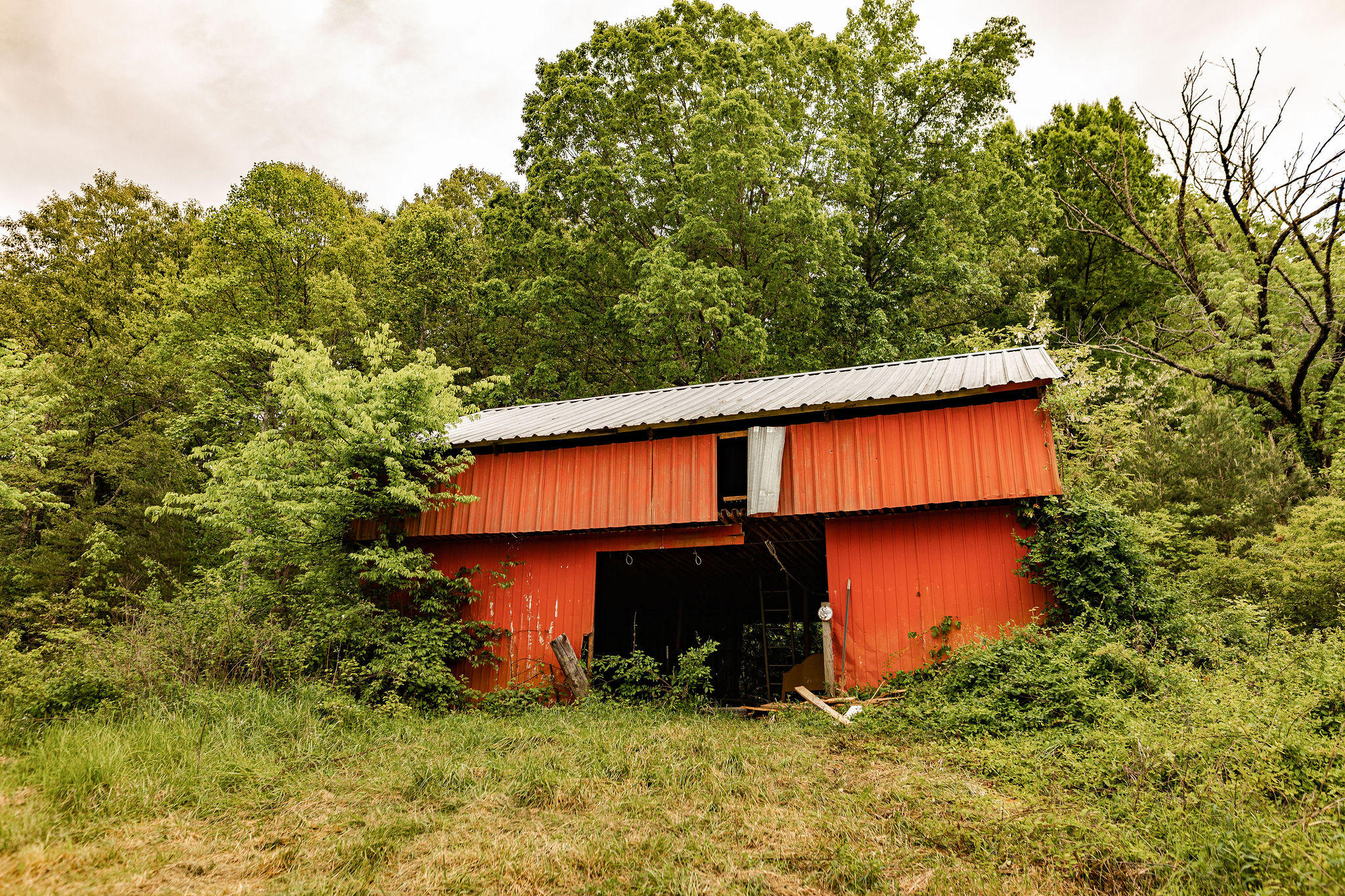 150 Roderick Lane Strawberry Plains, TN 37871 - Photo 22 of 40 AA3A7953