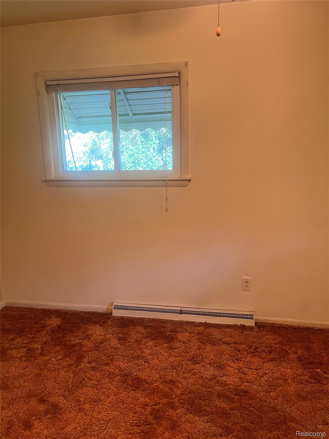 3063 West Britton Road Perry, MI 48872 - Photo 23 of 32 Window with horizontal blinds, wall-mounted electric baseboard heater, and textured carpet flooring