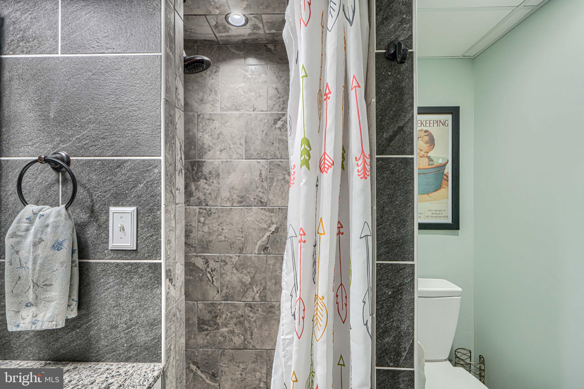 5947 Appletown Road Boonsboro, MD 21713 - Photo 61 of 114 Modern bathroom with playful decor.