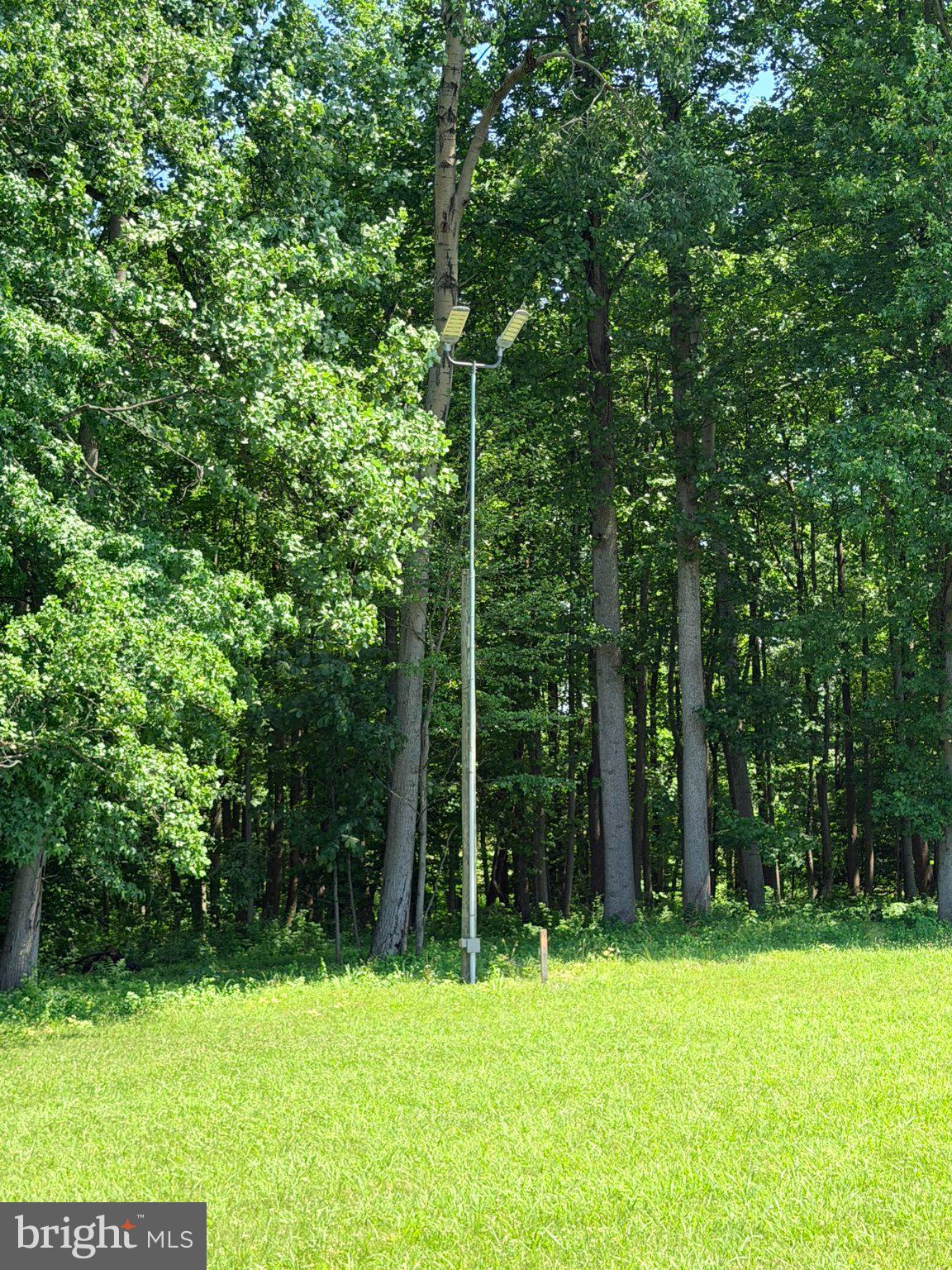 586 Zeitler Road Elkton, MD 21921 - Photo 51 of 55 Solar light amidst lush greenery.