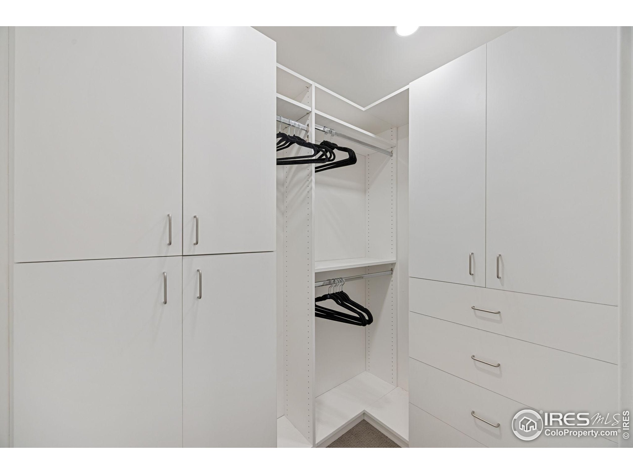 401 Linden Street, Unit 307 Fort Collins, CO 80524 - Photo 18 of 47 a view of walk in closet