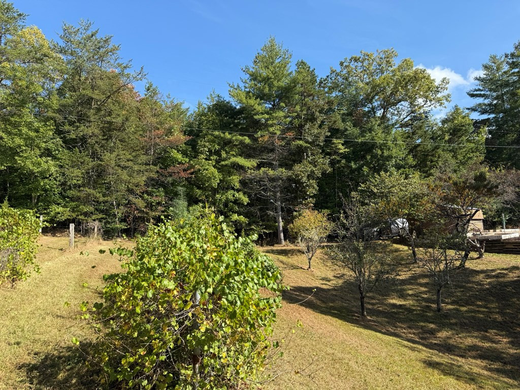 28 Joyce Road Murphy, NC 28906 - Photo 38 of 55 looking from the orchard towards the home