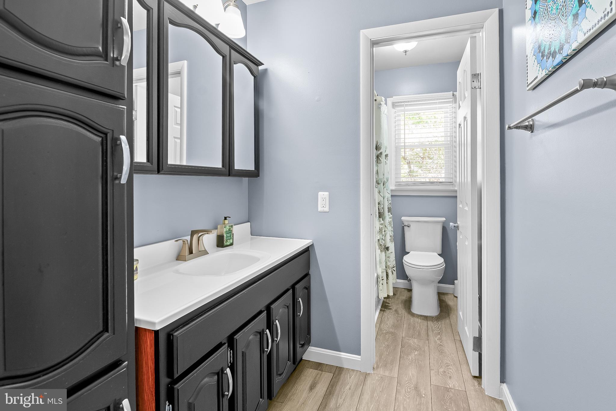 13 Moray Court Baltimore, MD 21236 - Photo 15 of 55 a bathroom with a sink a toilet and a mirror