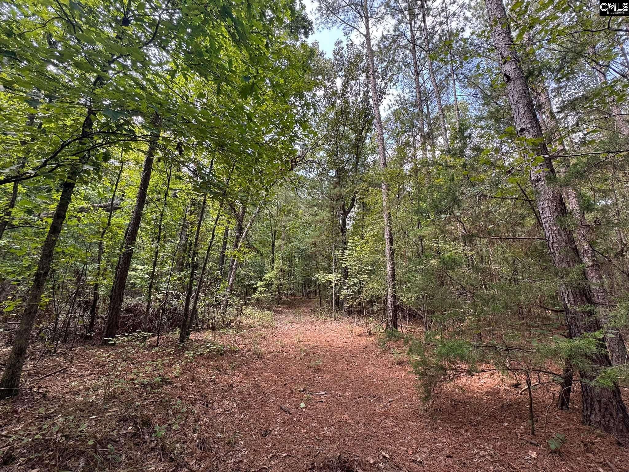 Pencreek Road Johnston, SC 29832 - Photo 10 of 59 Gallery Image 10