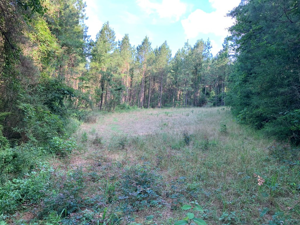 . Givens- Mullins Road Jayess, MS 39641 - Photo 11 of 24 Photo 11