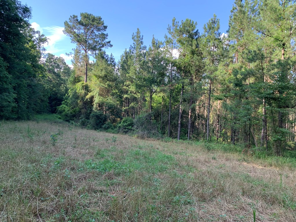 . Givens- Mullins Road Jayess, MS 39641 - Photo 12 of 24 Photo 12