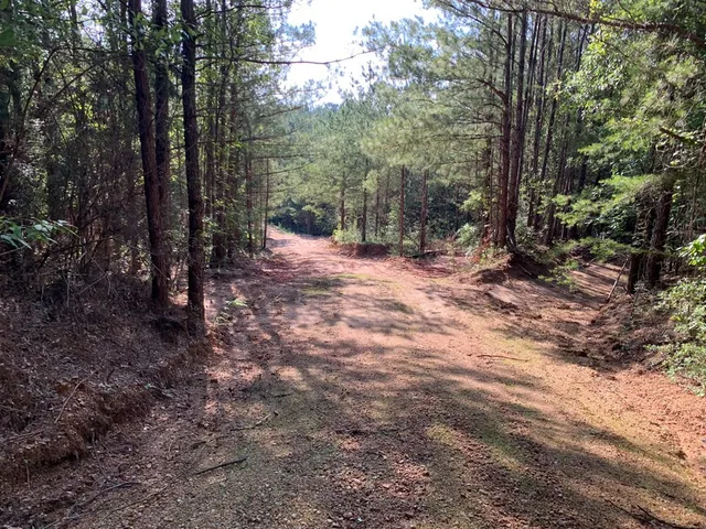 $527,300 | . Givens- Mullins Road, Jayess, MS 39641