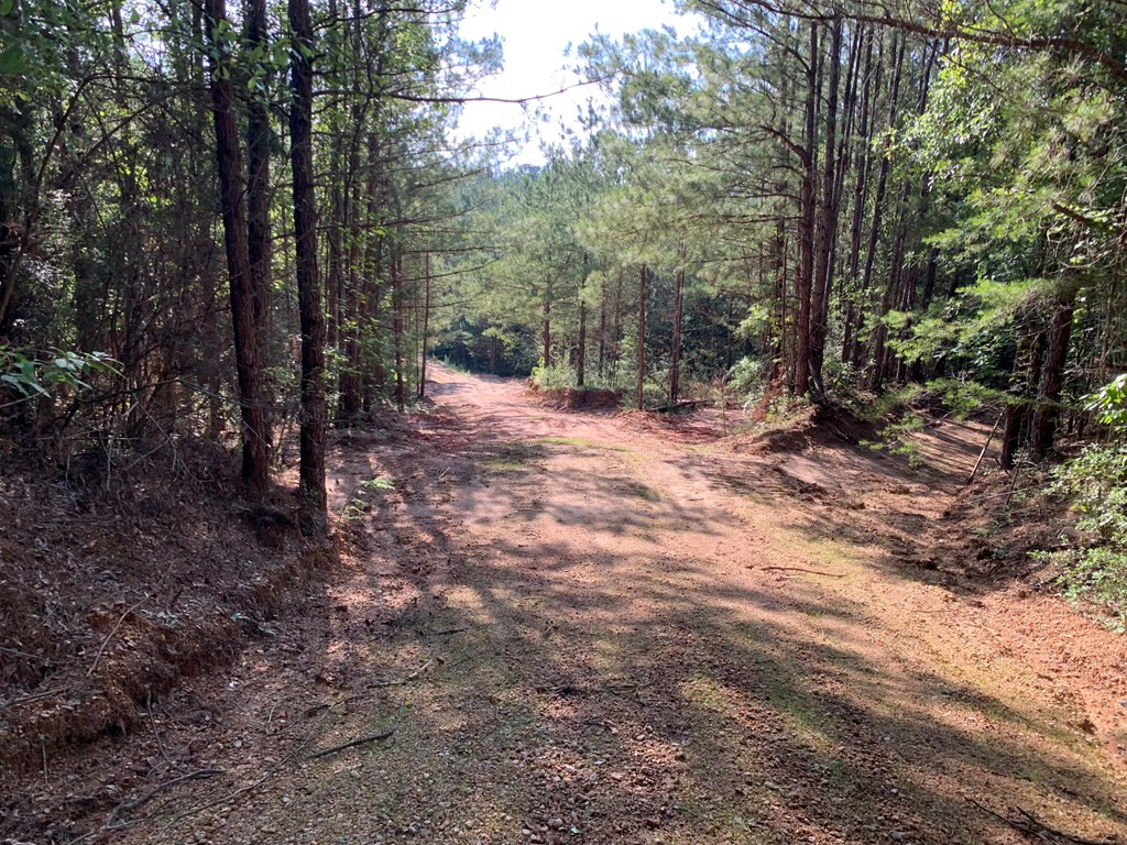 . Givens- Mullins Road Jayess, MS 39641 - Photo 13 of 24 Photo 13