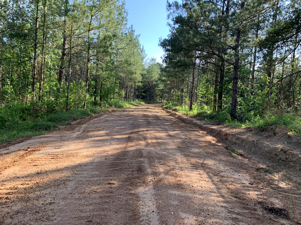 . Givens- Mullins Road Jayess, MS 39641 - Photo 14 of 24 Photo 14