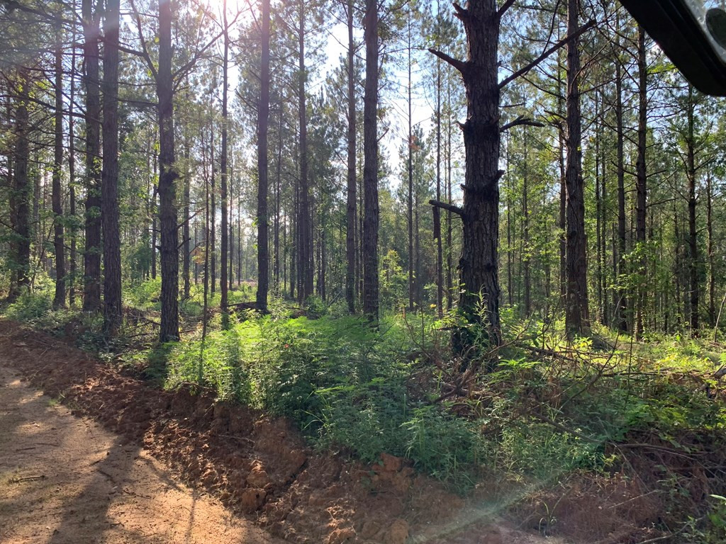 . Givens- Mullins Road Jayess, MS 39641 - Photo 15 of 24 Photo 15
